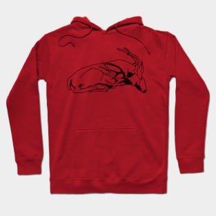 Wild mule deer sleeping Hoodie